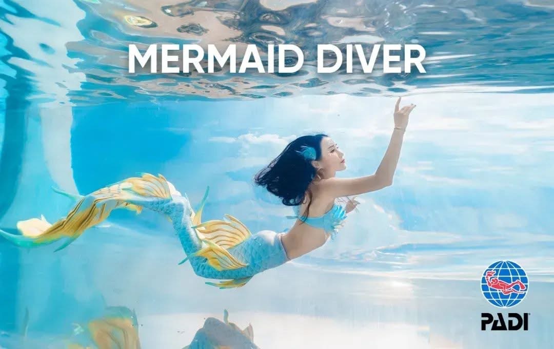 美人魚課程